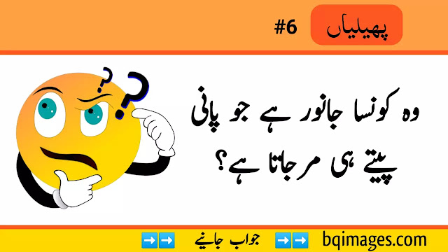 Riddles in Urdu with answers