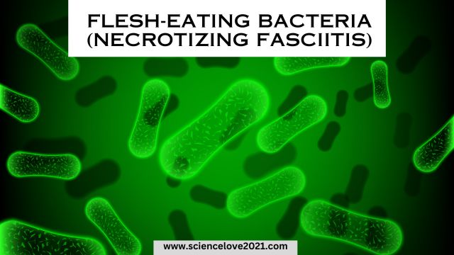 Flesh-Eating Bacteria (Necrotizing fasciitis): Causes, Symptoms, and Prevention