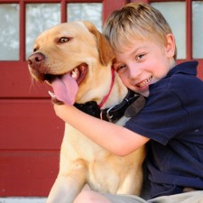 Nesta imagens contem um menino e um cao Escolhendo um Pet Sitter