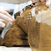 Mostra "Mummies. Il passato svelato". Due rare mummie egizie restituite alla comunità scientifica e al pubblico: al NOI Techpark di Bolzano fino all'8 ottobre 2022