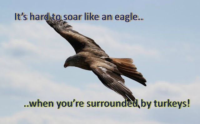 It's hard to soar like an eagle, when you work with turkeys