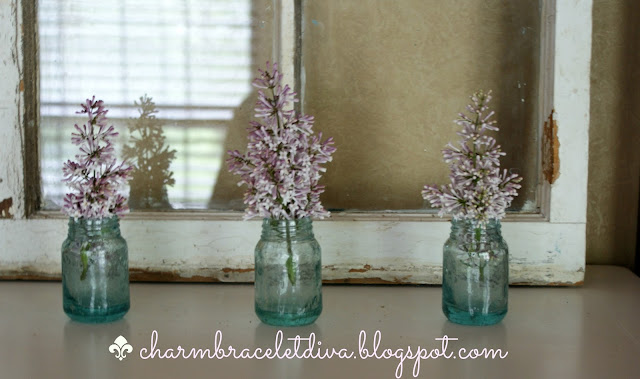 lilacs displayed in mini glass vases