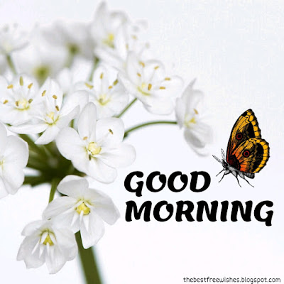 Good-Morning-Images-With-Flowers
