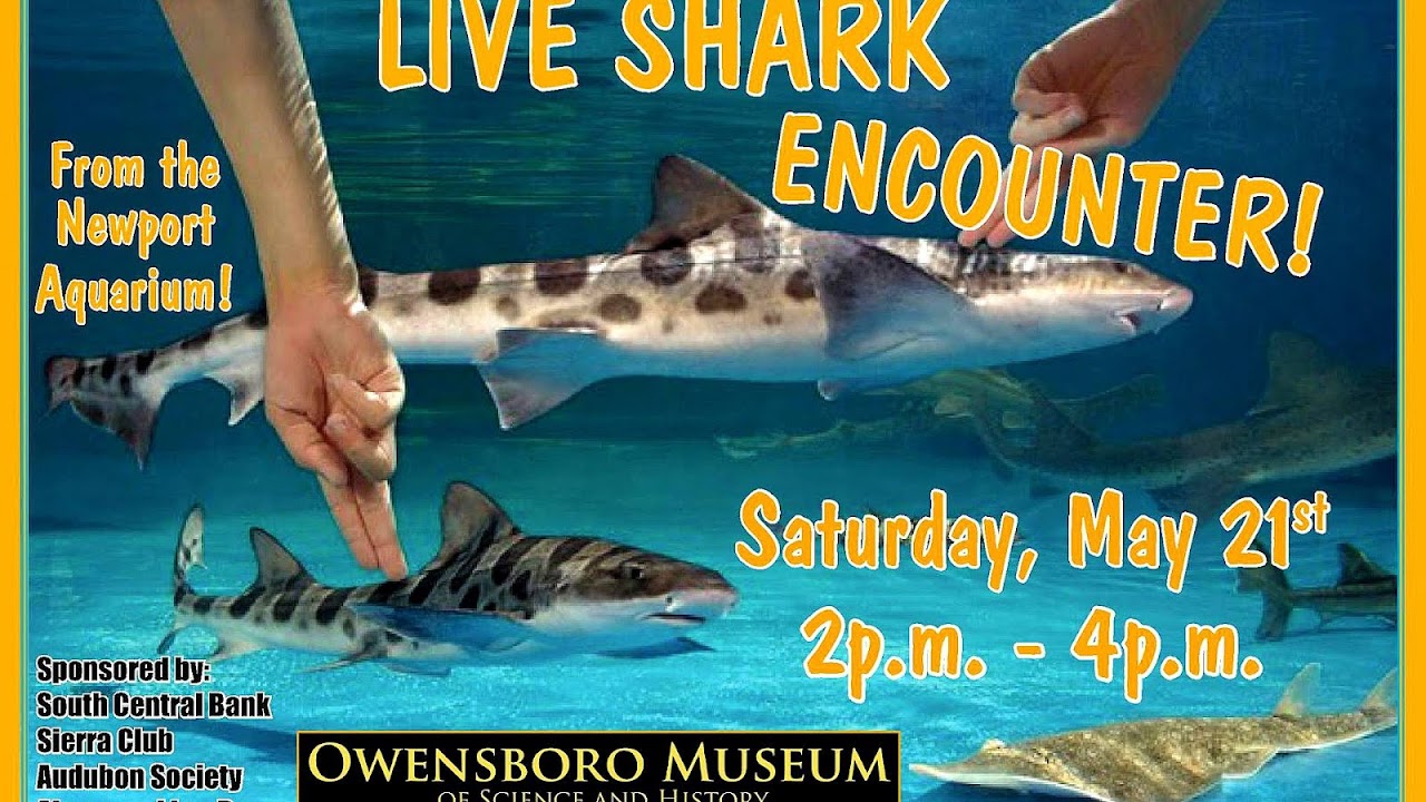 Owensboro Science Museum