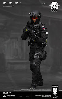 Damtoy 1/6 Scale Special Operations Leader, Glint Team, "Ryder Watson" 12" Figure