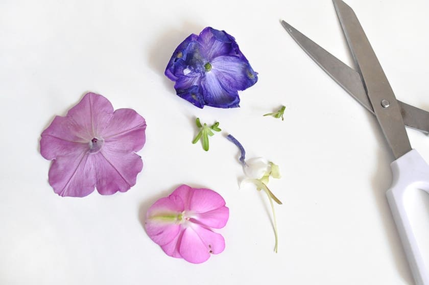 DIY Pounded-Flower Tote Tutorial