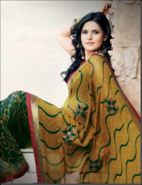zarine-khan-latest-photo-shoot-in-saree-4