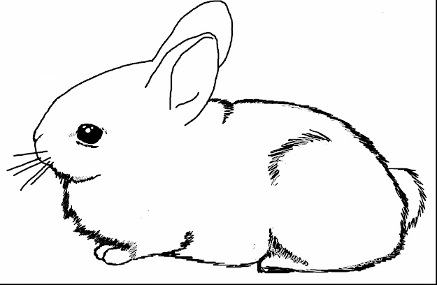 Terrific Baby Bunny Rabbit Coloring Pages With Bugs Bunny Coloring Pages  And Bugs Bunny And Friends