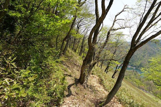 鳥取県東伯郡琴浦町山川　船上山　横手道