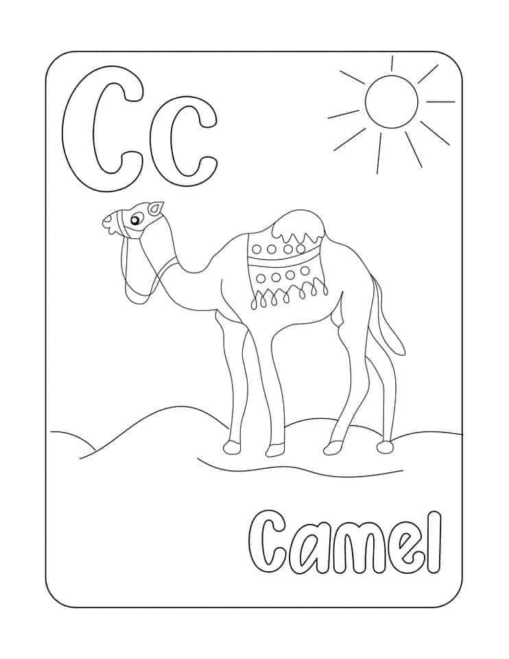 Tranh tô màu con Lạc đà (Camel)
