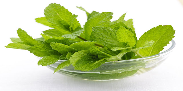 Crushed Mint For Dark Circle