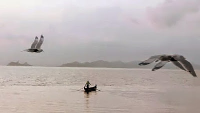 Bay of Bengal at Sittwe and the birds