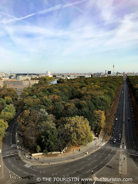 An inner city park, its trees in colourful autumn foliage surrounded by streets under a soft blue sky.