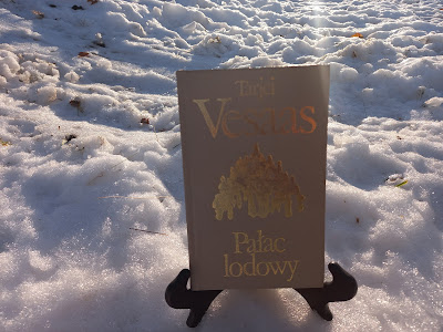 Książka na śniegu w promieniach popołudniowego słońca