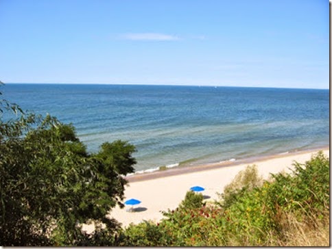 DN MICHIGAN 1