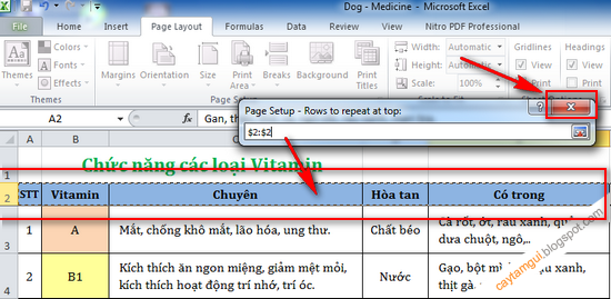 Hướng dẫn cố định dòng, cột trong Excel