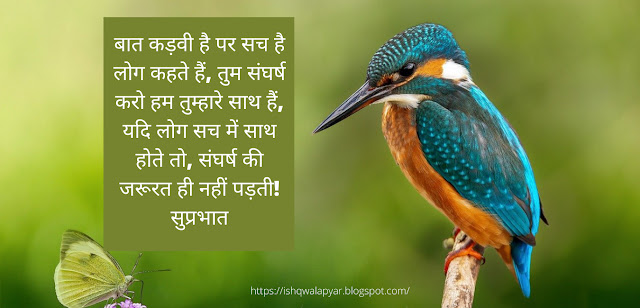 Latest Good Morning Shayari in hindi Images Status Download