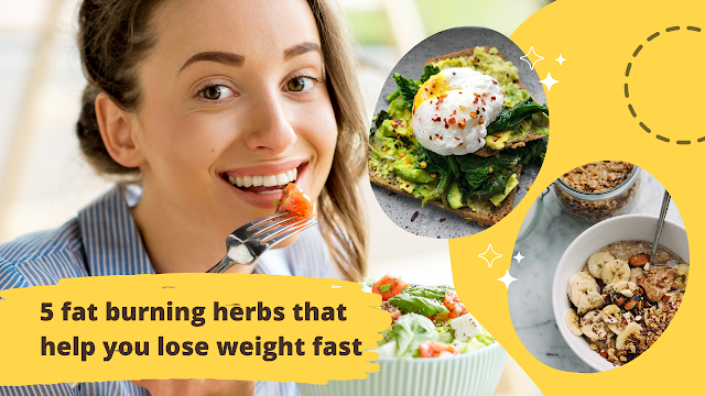5 fat burning herbs that help you lose weight fast
