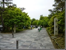 P1090245