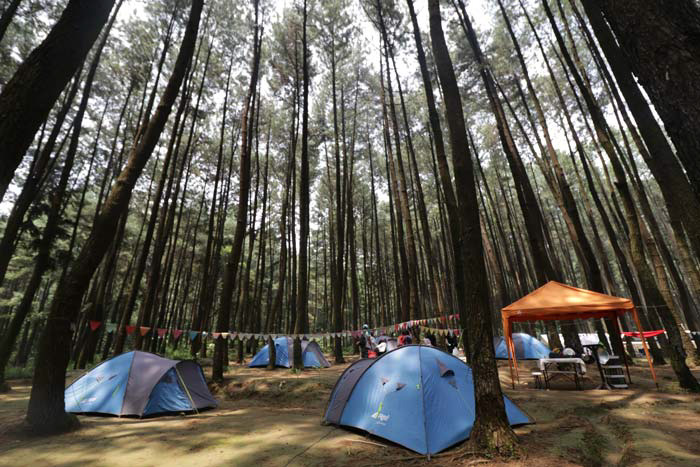 The Carpenter Outdoor Gunung Pancar