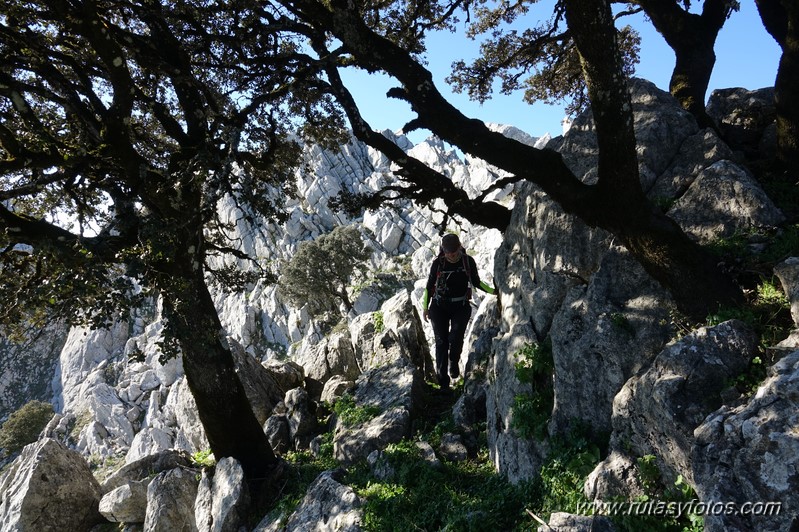 Crestería de la Peña Negra (Sierra del Co)