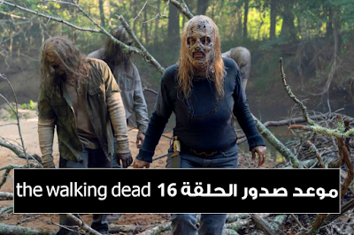 the walking dead season 10 episode 16