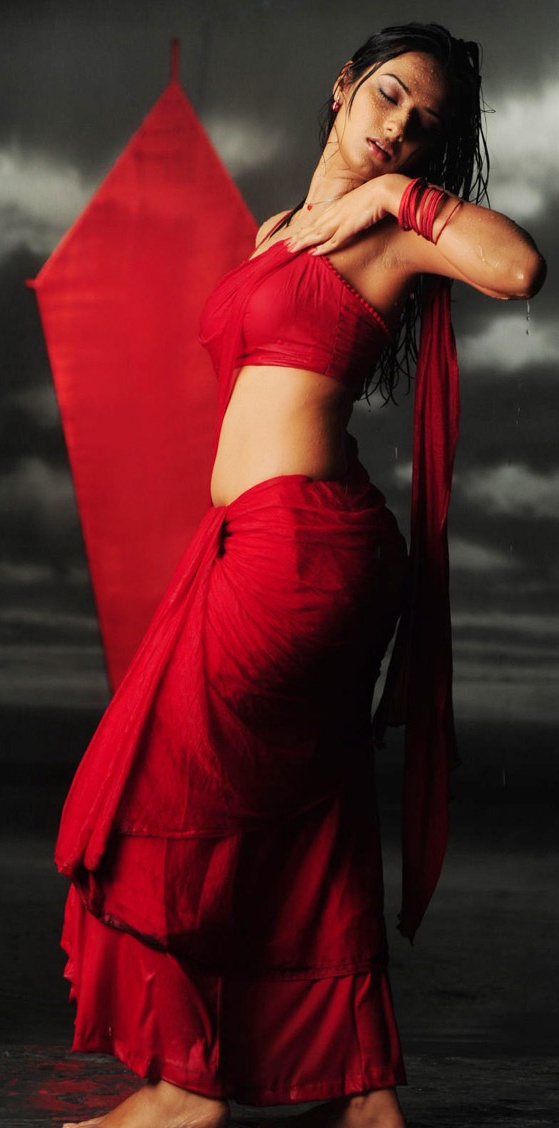 Isha-Chawla-Hot-in-Saree+(4).jpg