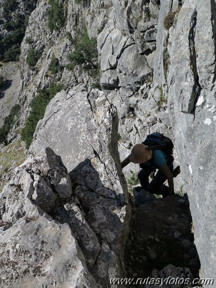 Pared de Fardelejas