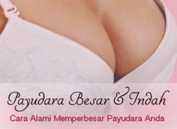  Payudara Besar dan Indah