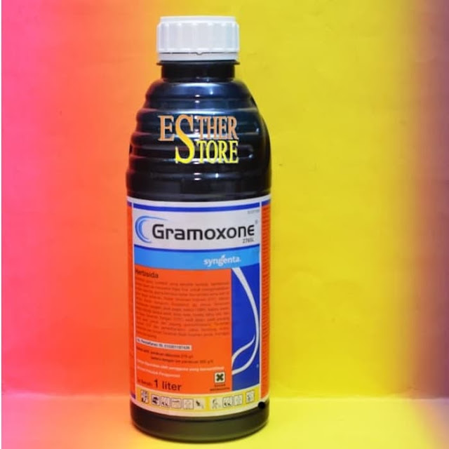 Herbisida Gramoxone 276 SL Obat Basmi Pembasmi Rumput Liar Sistemik Pada Tanaman Padi Sampai Ke Akar Paling Ampuh Terbaik
