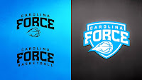 Basketball Team Logos Design