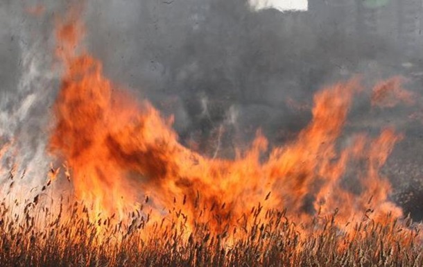У Житомирській області загинуло подружжя, спалюючи траву