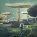 Mushroom World Photoshop Manipulation By Picture Fun