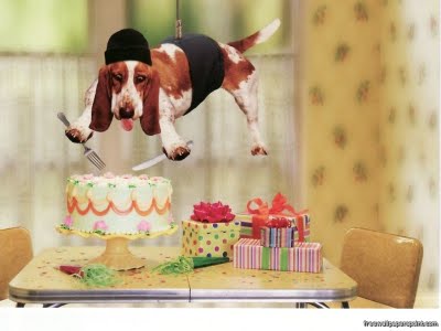 funny animal birthday pictures funny animal birthday pictures funny ...