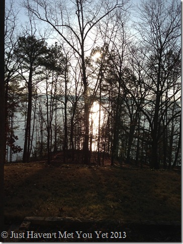 2013-03-08 07.51.55