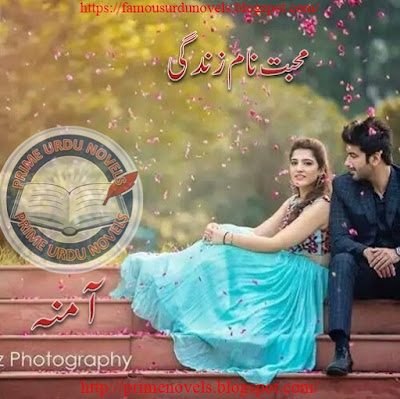 Mohabbat name zindgi novel online reading by Amna Episode 2