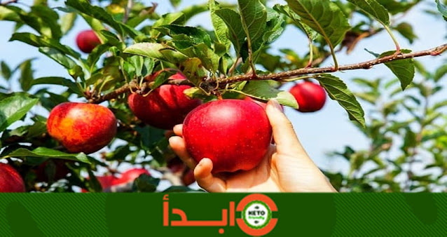 طرق إنقاص الوزن للرجال في منتصف العمر