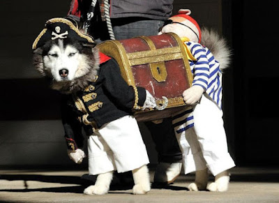 Funny Dog Costumes