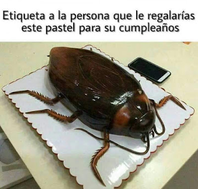 Etiqueta a la persona a la que le regalarías este pastel para su cumpleaños, cucaracha 