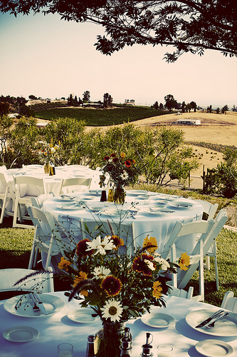 Tuscan Themed Wedding Ideas