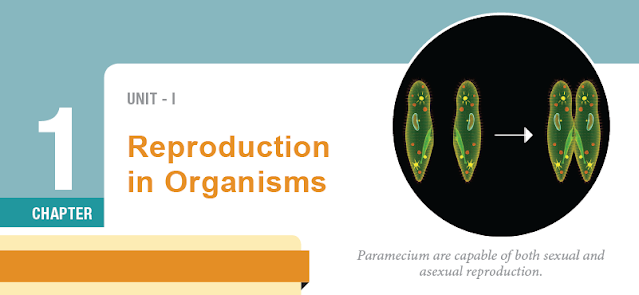 KALVISOLAI ONLINE TEST 72 - CLASS 12 BIOLOGY ZOOLOGY - CHAPTER 1 REPRODUCTION IN ORGANISMS - 1 MARK QUESTIONS - ONLINE TEST