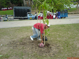 SEMBREMOS ARBOLES