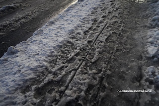 アイスランド　レイキャビク　市街地　雪　道　ベシャベシャ　みぞれ雪　歩きにくい