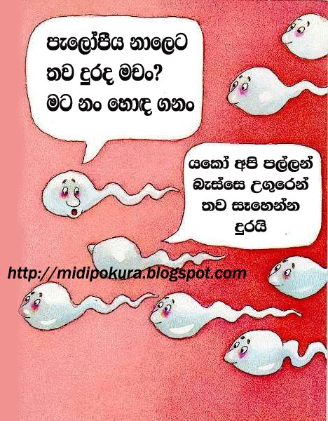 loveHut: sinhala jokes: Is joke .....