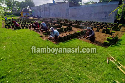 Jasa bersih taman rumah Surabaya