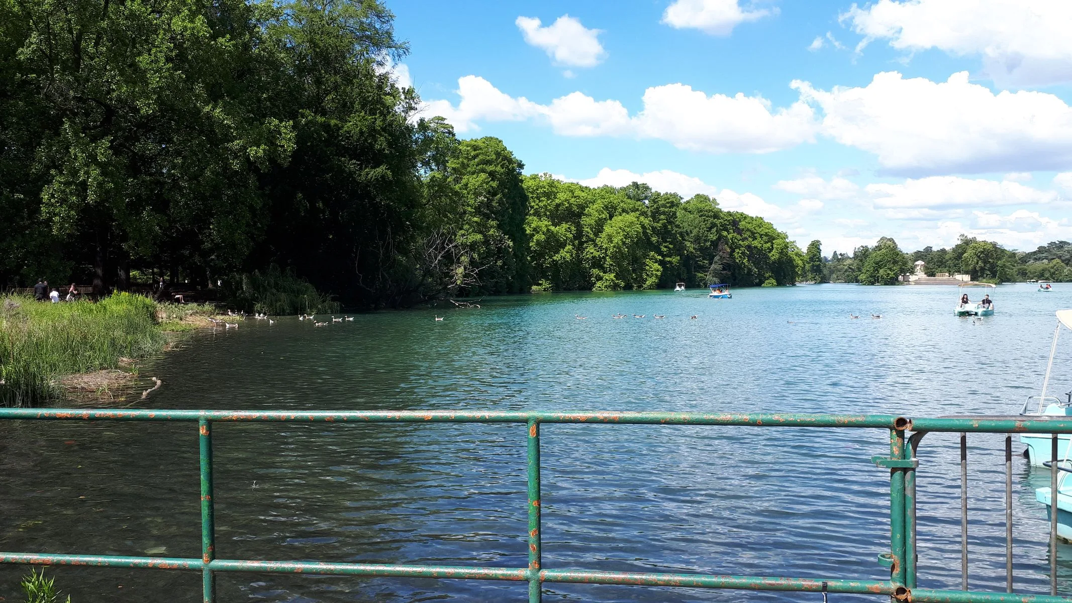 lac parc tete d'or