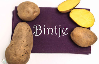 Kartoffelsorte Bintje