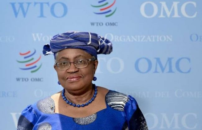 WTO chief: South Africa, Senegal, Rwanda, Nigeria considered as vaccine production hubs