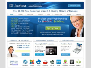 bluehost discount code