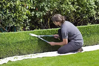 Manual Hedge Trimmers!